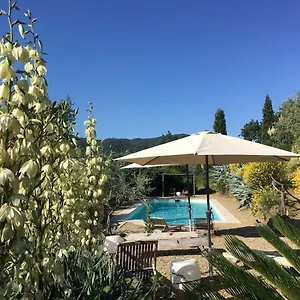 Ventena Vecchia Antico Frantoio , Montevarchi Italia